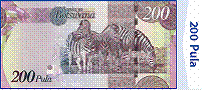 P200 back